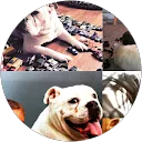 Christina Sacco profile picture